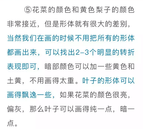 色彩静物中的蔬菜类怎么画,看重庆美术培训学校老师来教你！图二十四