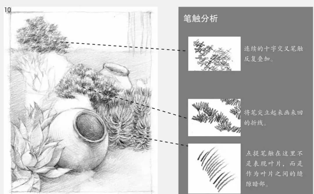 素描场景实操教程！花园一角怎么画？重庆画室学子看过来！图十一