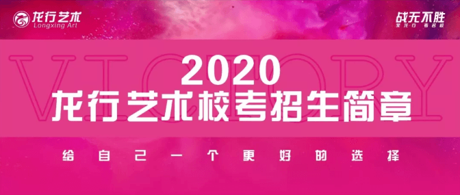 2020龙行艺术校考招生简章