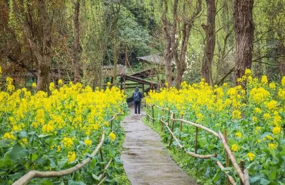 在川美上学是一种什么体验？重庆美术集训画室带你来涨姿势了！