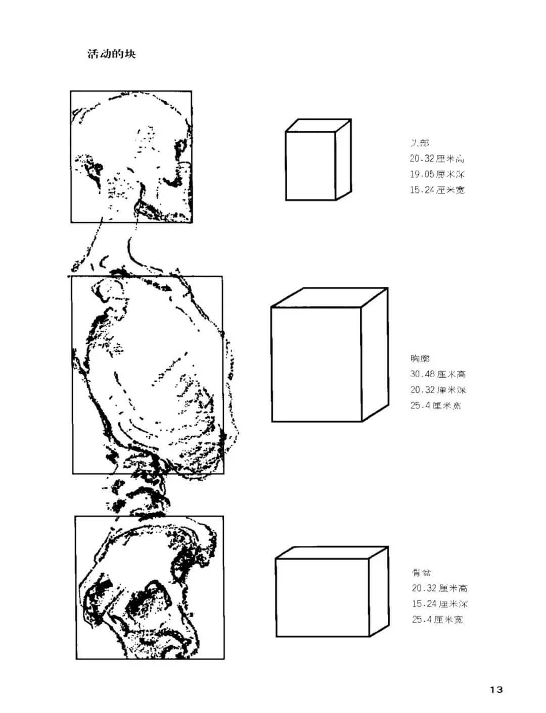 干货分享：速写人物基础知识详解及要点剖析！8