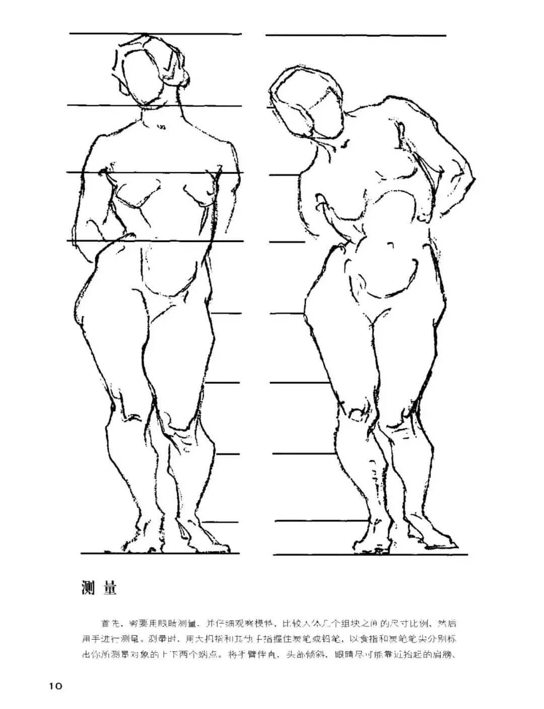 干货分享：速写人物基础知识详解及要点剖析！6