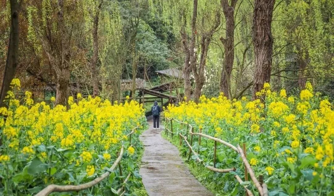 重庆画室培训助你考上川美！体验川美校园环境，提前爱上她！