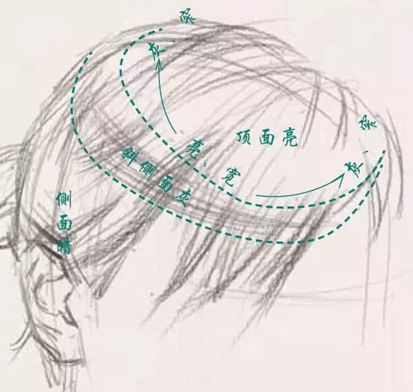 素描头像的发丝教学！跟着重庆美术集训画室老师看看吧，图一