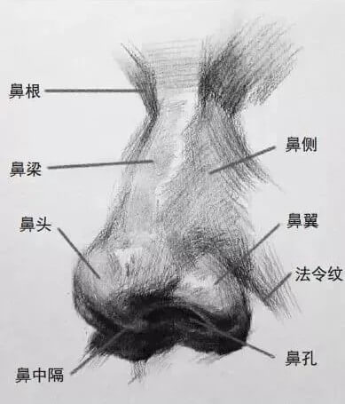 画好五官，整个头像就亮了！重庆美术培训画室帮你联考素描提高10分！