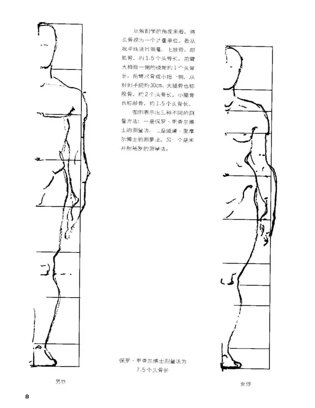 干货分享：速写人物基础知识详解及要点剖析！4