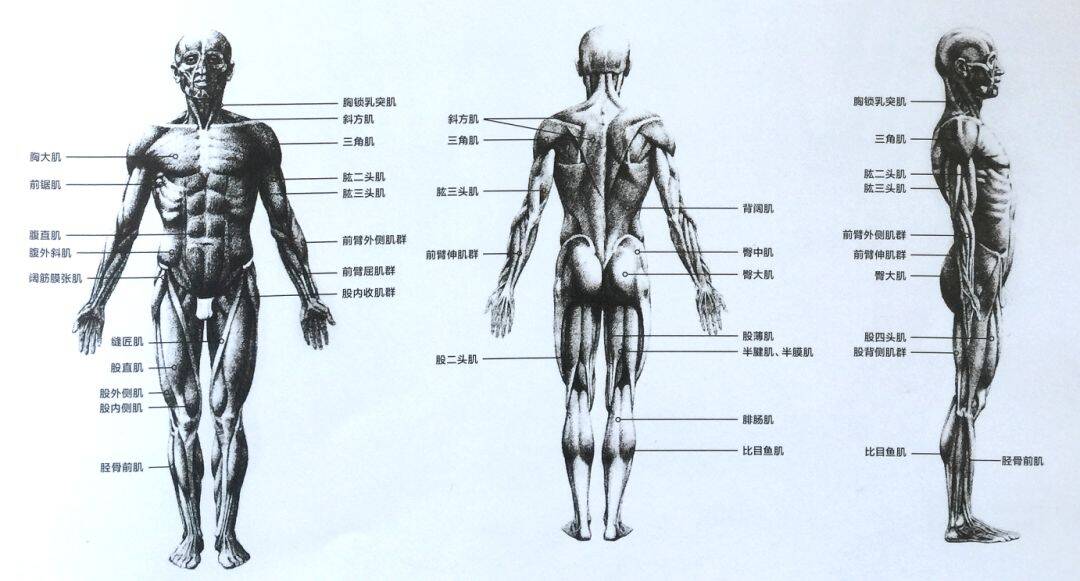 重庆美术集训,重庆十大画室05