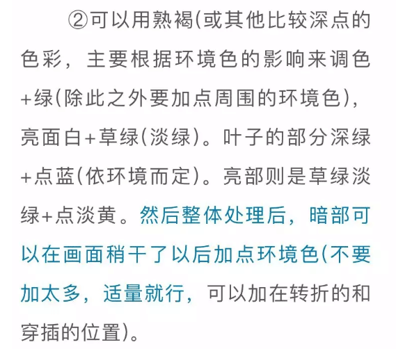 色彩静物中的蔬菜类怎么画,看重庆美术培训学校老师来教你！图五